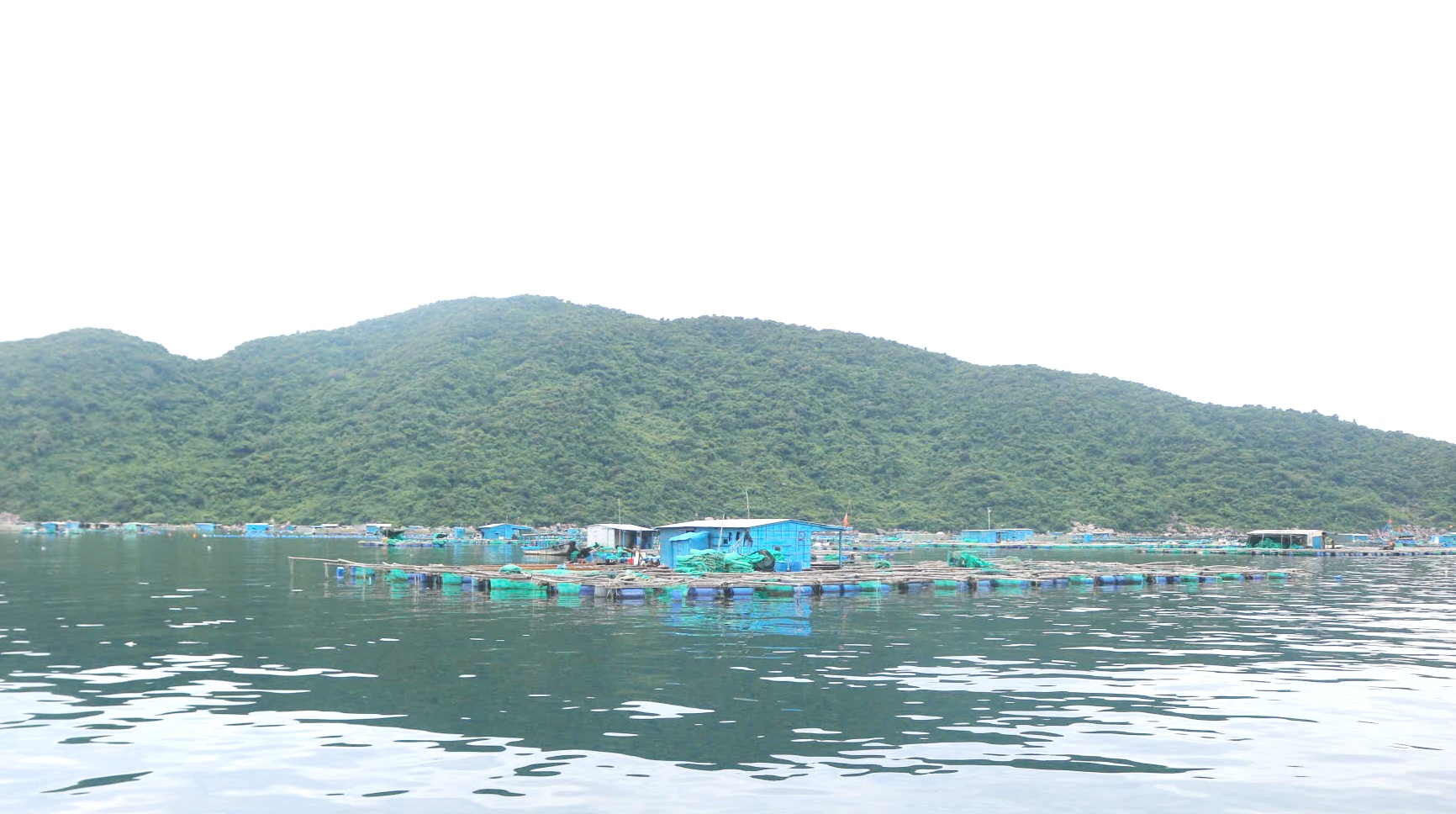 Bảo vệ và phát triển nguồn lợi thủy sản trên địa bàn tỉnh Đắk Lắk đến năm 2030